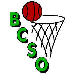 Logo Basket SCHWEIGHOUSE/OHLUNGEN